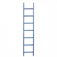 External Access Ladder 1