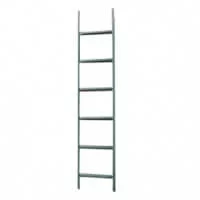 External Access Ladder 2